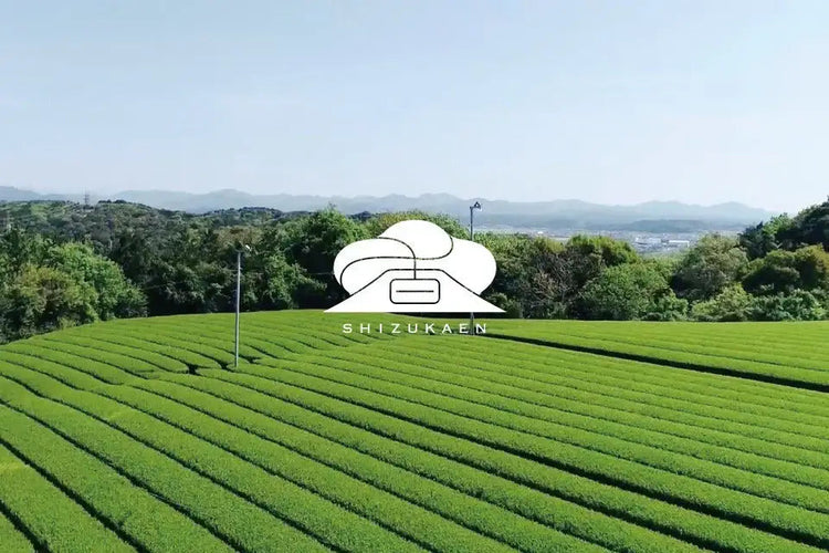 Shizukaen