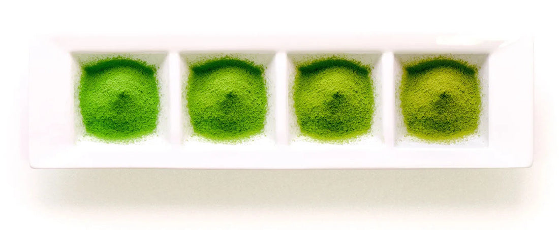 The Ultimate Guide to Choosing the Best Matcha