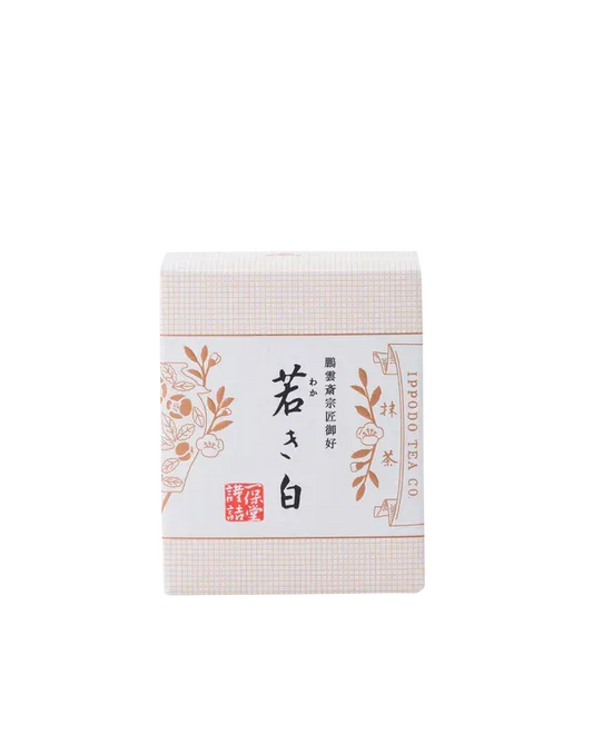 Matcha Powder Wakaki Shiro from Ippodo 40g - JJ Market